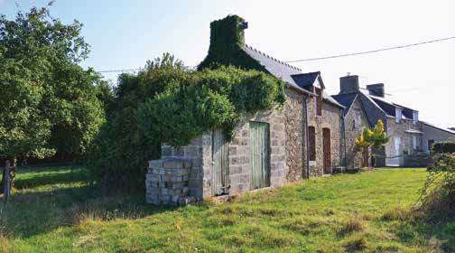 JUMELLE CONTEMPORAINE - Image 3